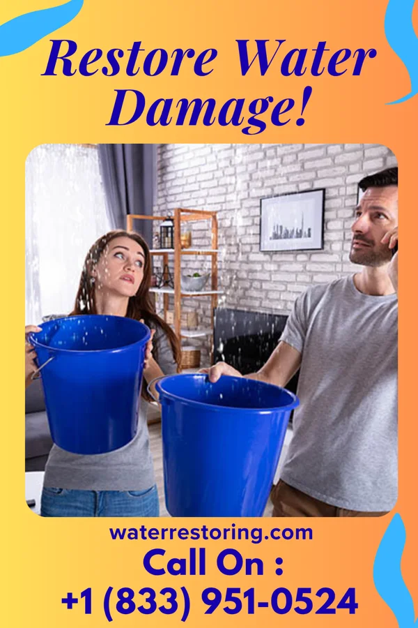 water restoration Expert Water Damage Company Hamden