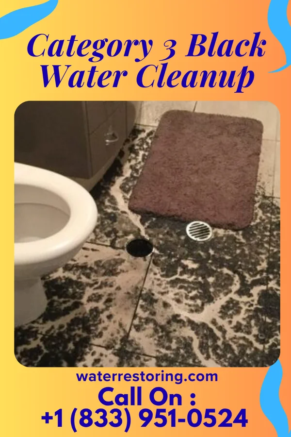 Category 3 Black Water Cleanup in Hamden, OH