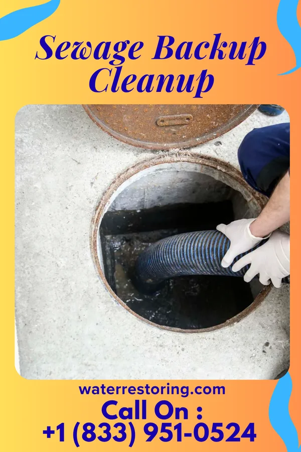 Sewage Backup Cleanup in Hamden, OH